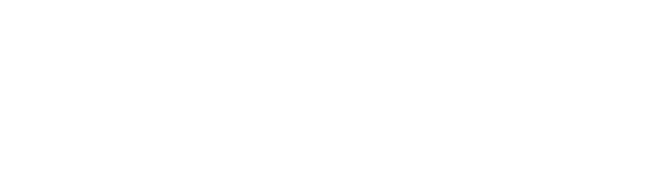 Ozark Integrated Circuits, Inc.